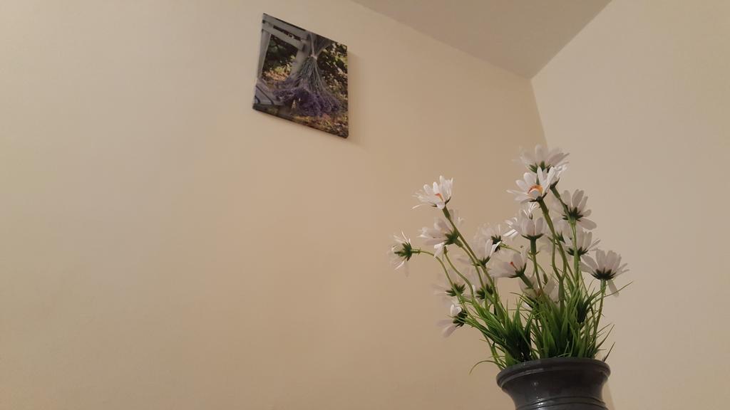 Aquarius Apartman Segedyn Zewnętrze zdjęcie